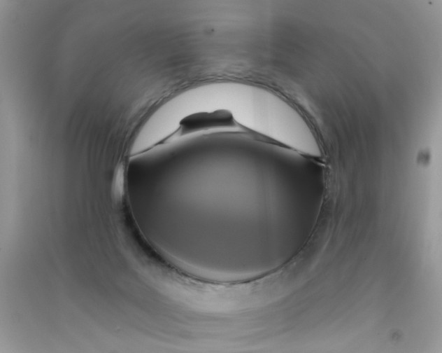 X0000090770027200708172117