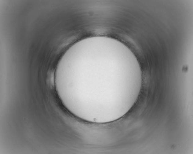 X0000090770028200708172117