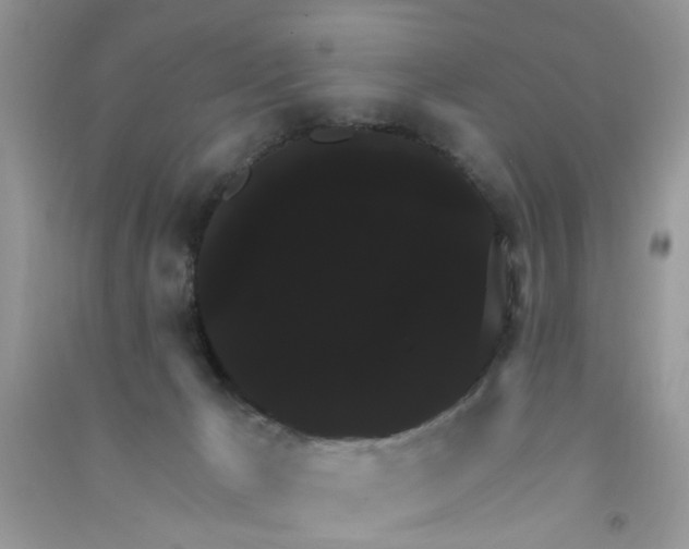 X0000090770029200708172117