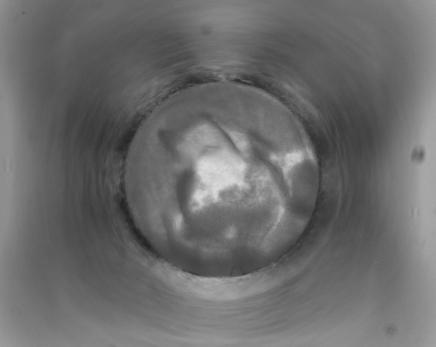 X0000090770030200708172117