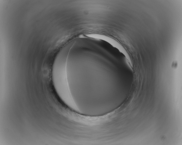 X0000090770031200708172117