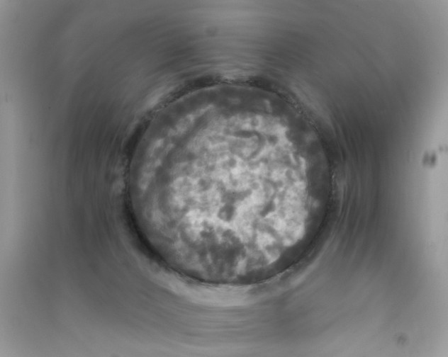 X0000090770032200708172117