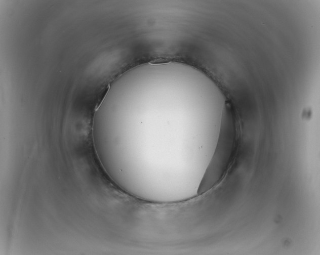 X0000090770033200708172117