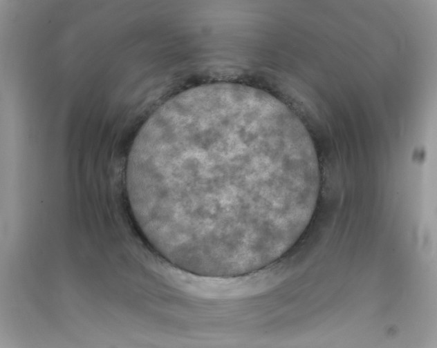 X0000090770034200708172117