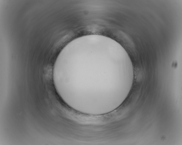 X0000090770036200708172117