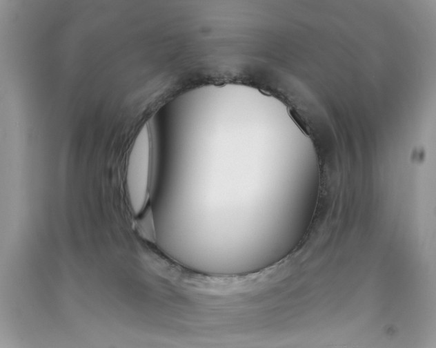X0000090770037200708172117