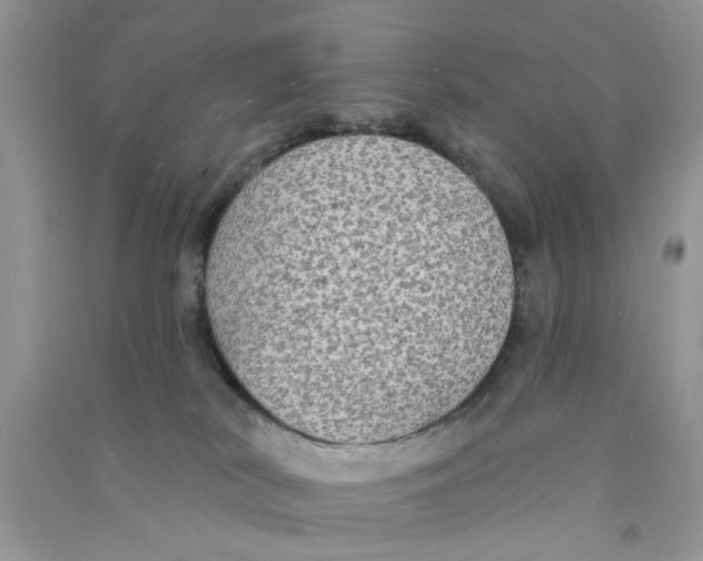 X0000090770038200708172117