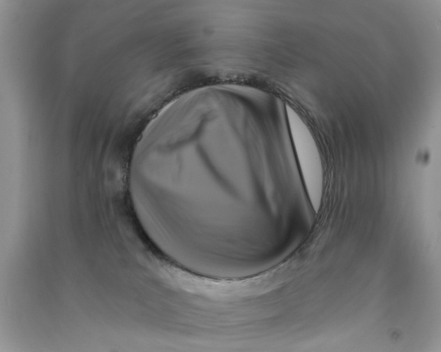 X0000090770039200708172116
