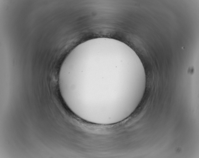X0000090770040200708172116