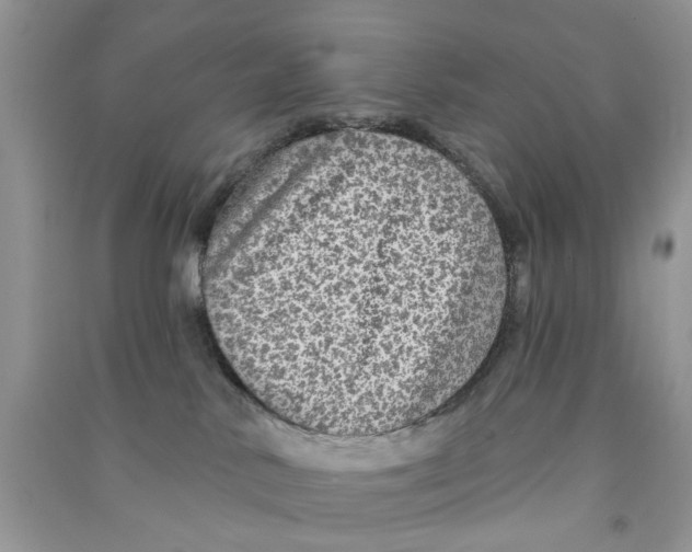 X0000090770042200708172116