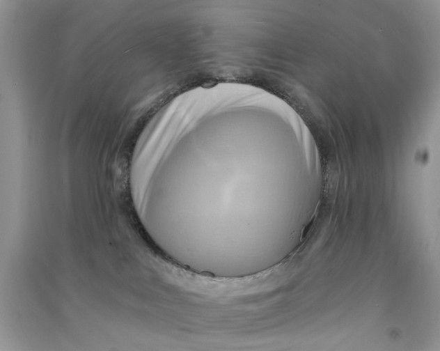 X0000090770043200708172116