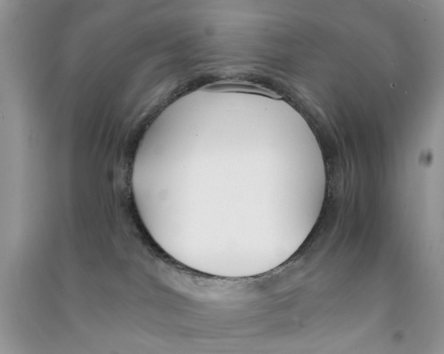 X0000090770044200708172116