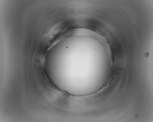 X0000090770045200708172116