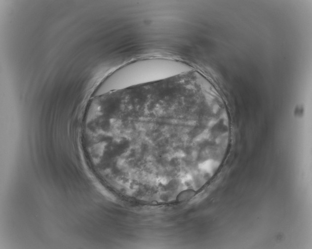 X0000090770049200708172116