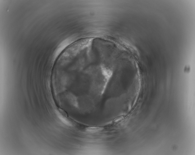 X0000090770051200708172116