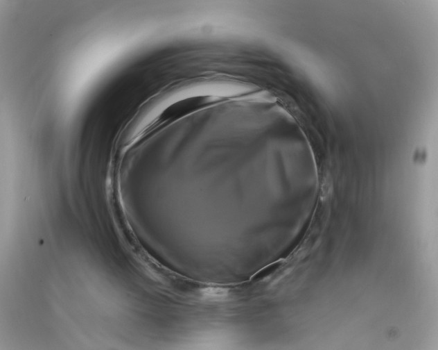 X0000090770052200708172116