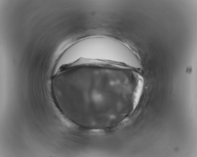 X0000090770053200708172116