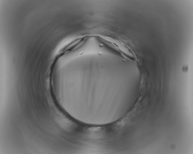 X0000090770054200708172116