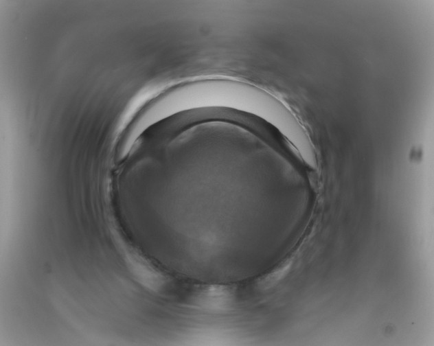X0000090770056200708172116