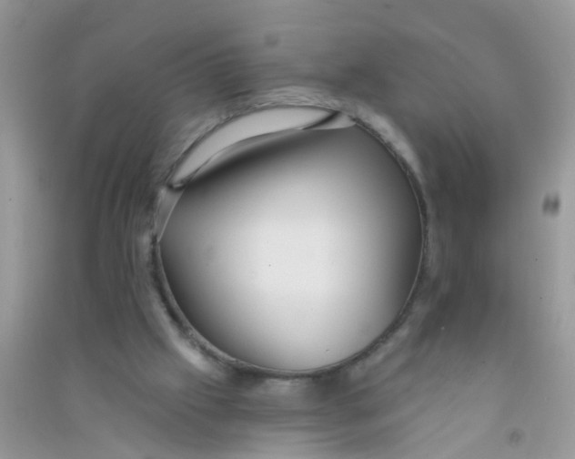 X0000090770057200708172116