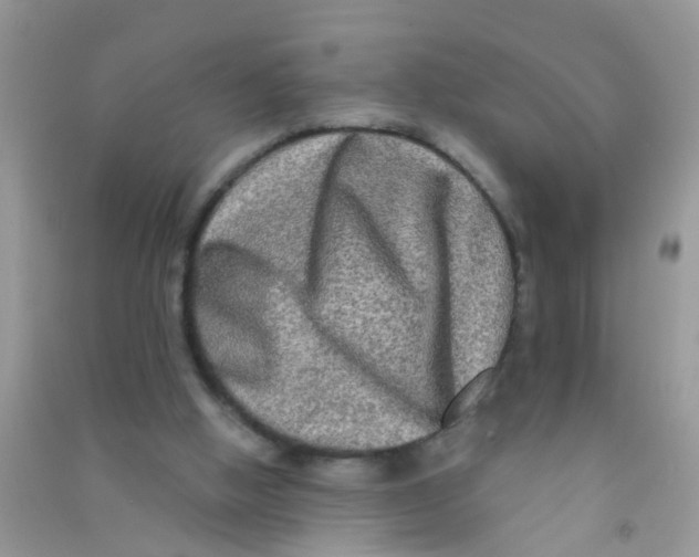 X0000090770058200708172116