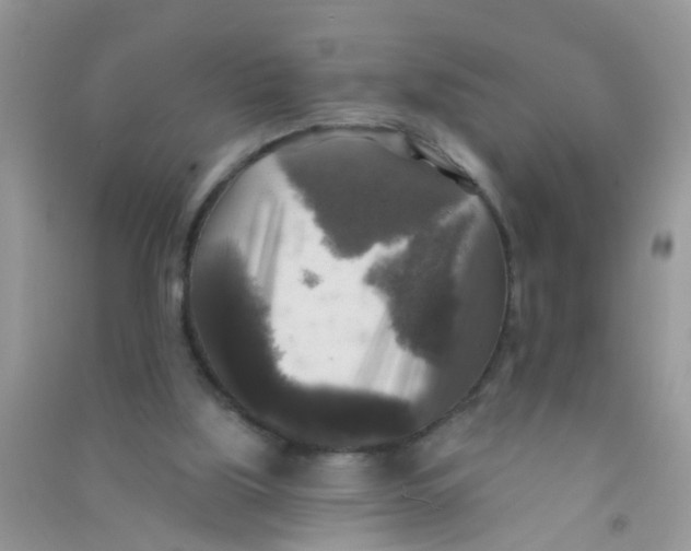 X0000090770059200708172116