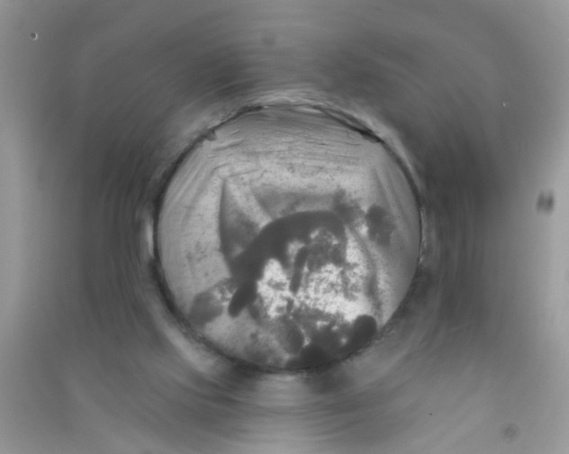 X0000090770061200708172116