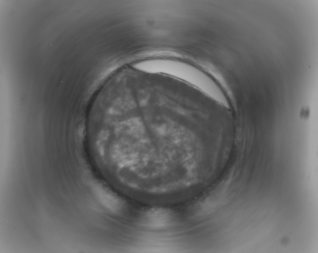 X0000090770063200708172116