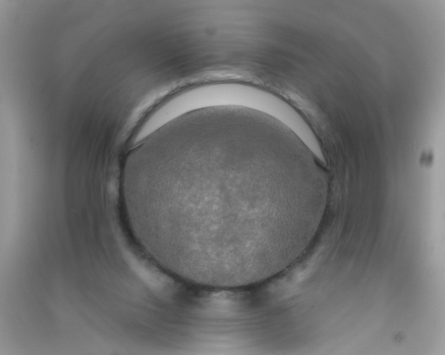 X0000090770064200708172116