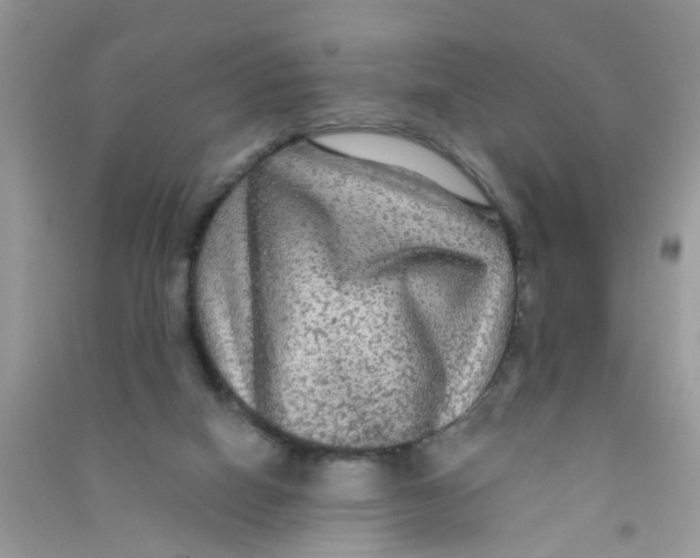 X0000090770066200708172116