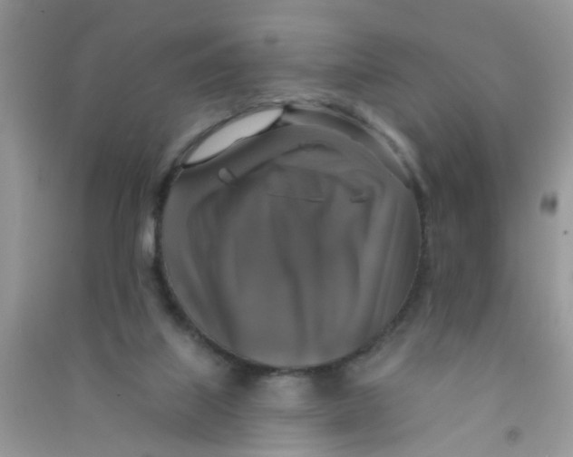 X0000090770067200708172116