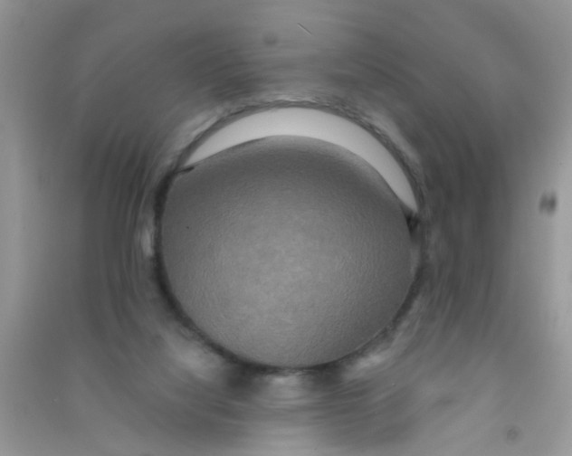 X0000090770068200708172116