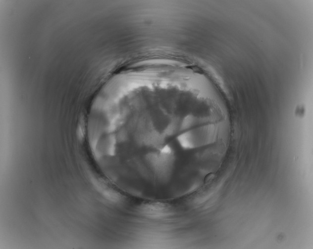 X0000090770069200708172116