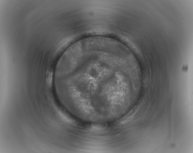 X0000090770070200708172116