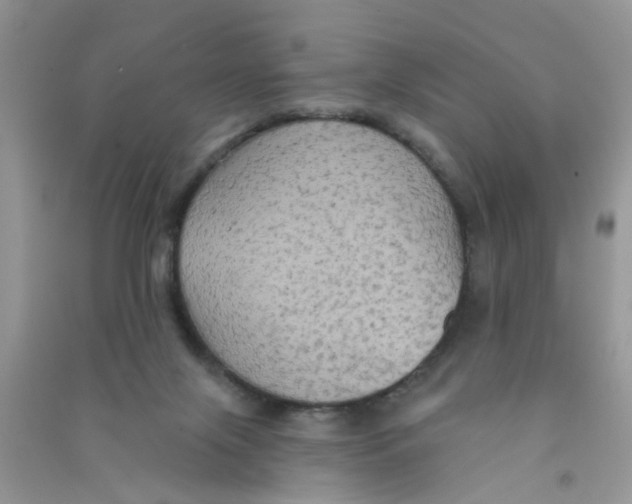 X0000090770071200708172116