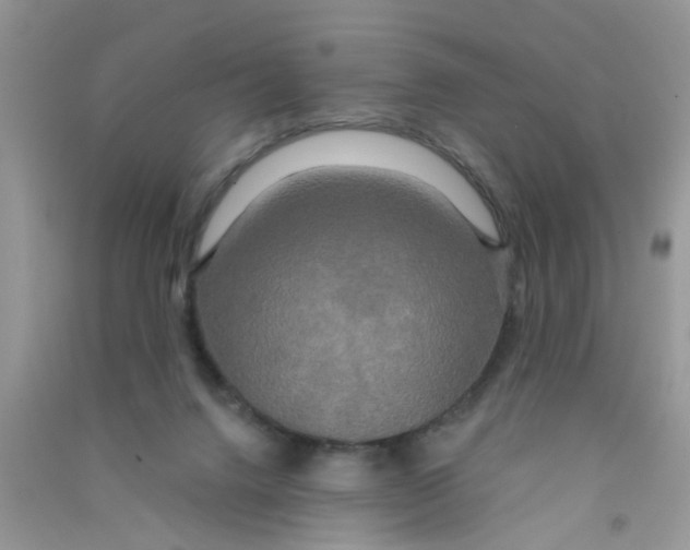 X0000090770072200708172116