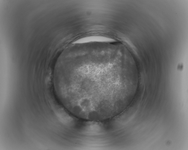 X0000090770073200708172116