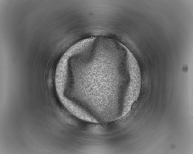 X0000090770074200708172116