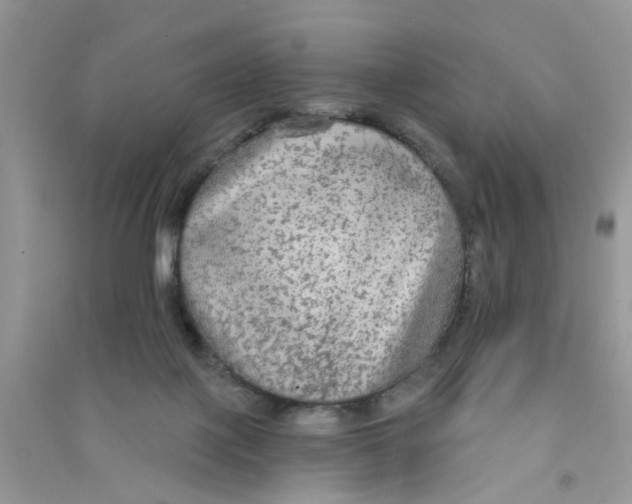 X0000090770075200708172116