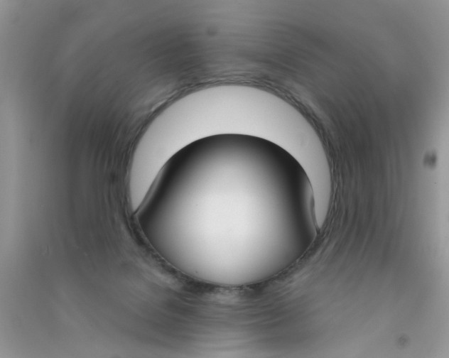 X0000090770076200708172116
