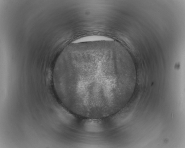 X0000090770077200708172116