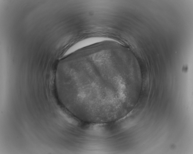 X0000090770078200708172116