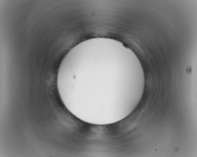 X0000090770079200708172116