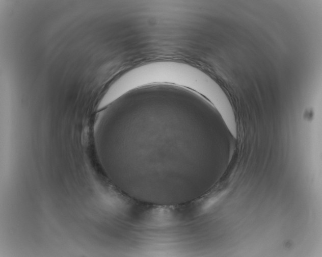 X0000090770080200708172116