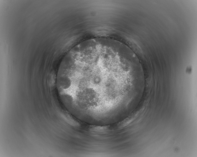 X0000090770081200708172116