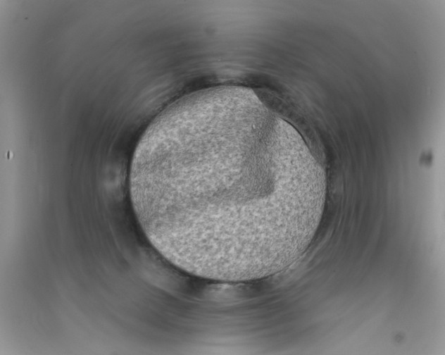 X0000090770082200708172116