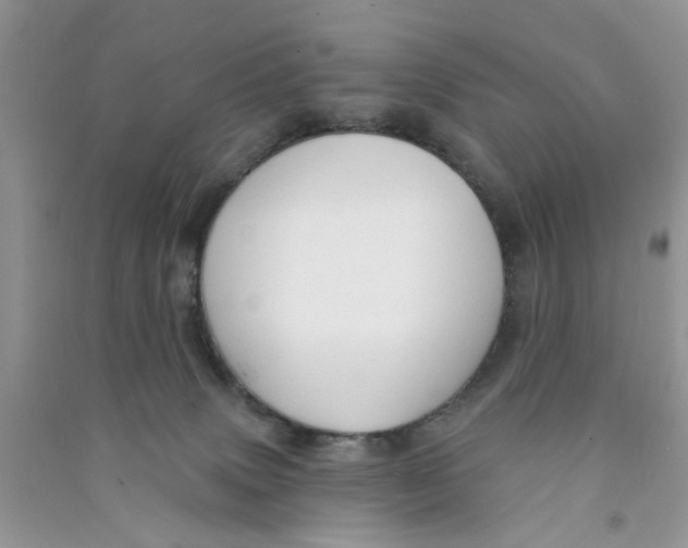 X0000090770083200708172116