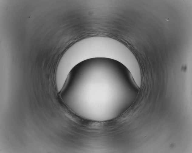 X0000090770084200708172116