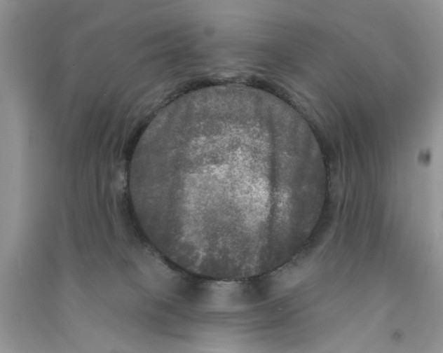X0000090770085200708172116
