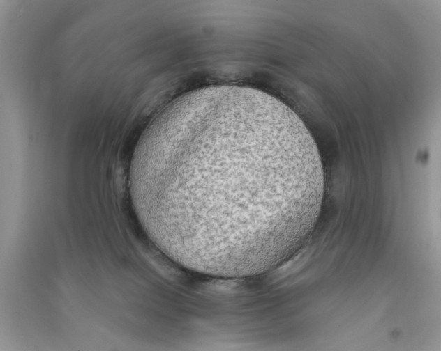 X0000090770086200708172116